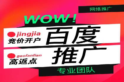 行业领先企业的百度广告推广费用揭秘